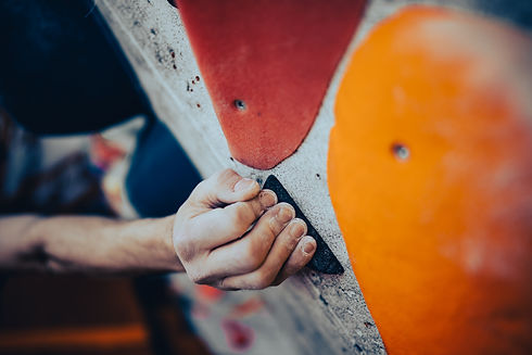 AdobeStock_499063887.jpeg