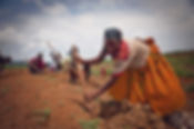 Trees for the Future. Pleant Trees. Change Lives.