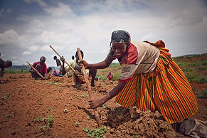 Trees for the Future. Pleant Trees. Change Lives.