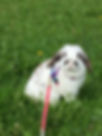 image00024.jpeg