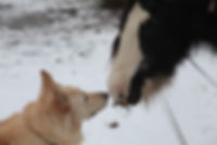 image00021.jpeg
