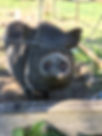 image00022.jpeg