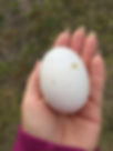 image00025.jpeg