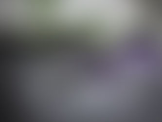 アメジスト：２月の誕生石