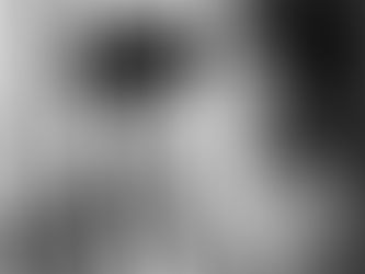 Annemarie Heinrich. Génesis de la liberación femenina