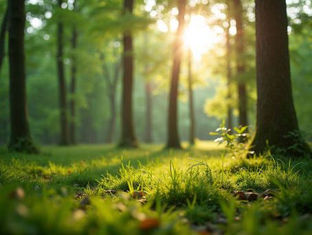 The Importance of Sustainable Living in Today's World