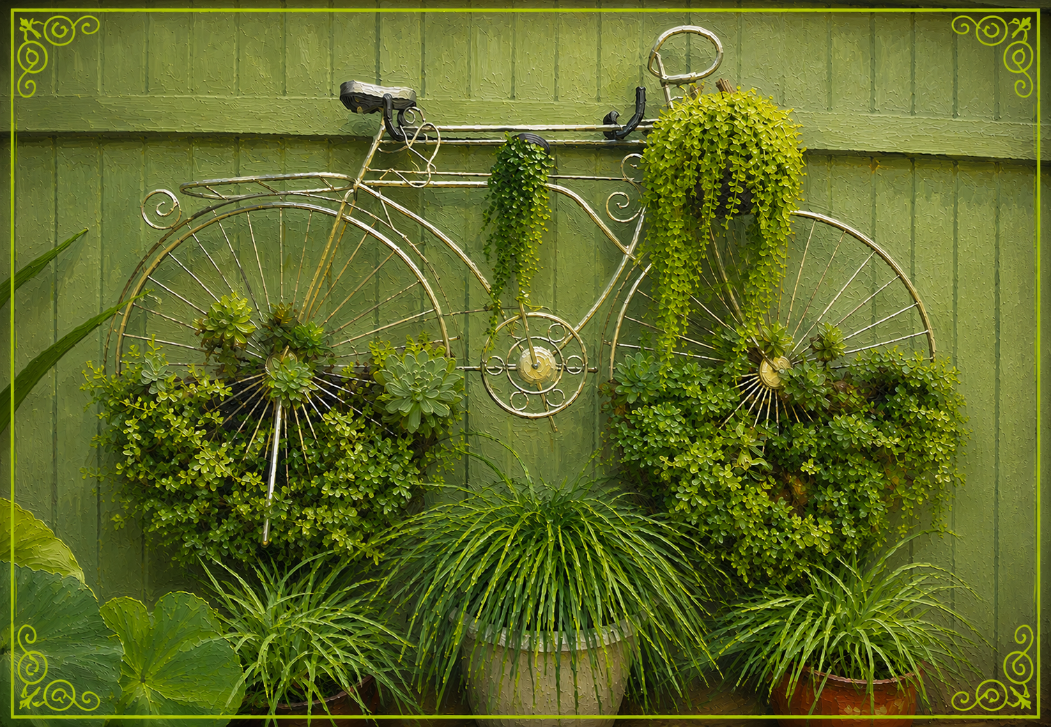 09 Succulents on Bicycle - "Londonderry Aire" (O Danny Boy)