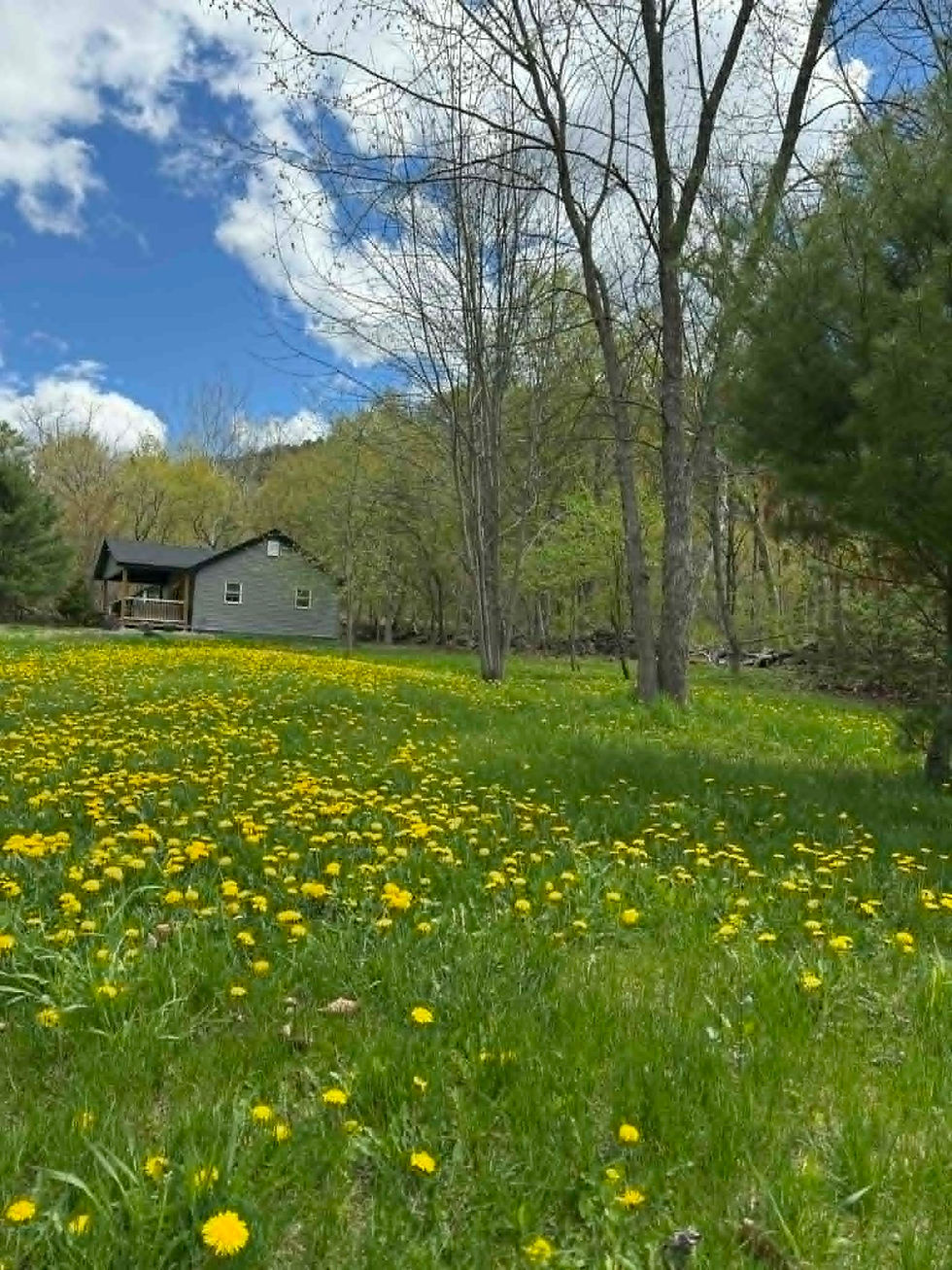 The Cottage at Broome Animal Sanctuary
