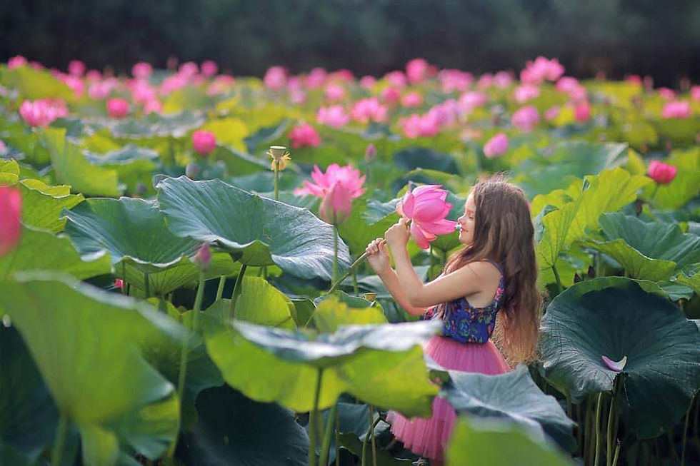 Долина лотосов