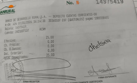 Ejemplo Boleta.jpg