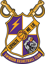 ss hi-res logo (1).png