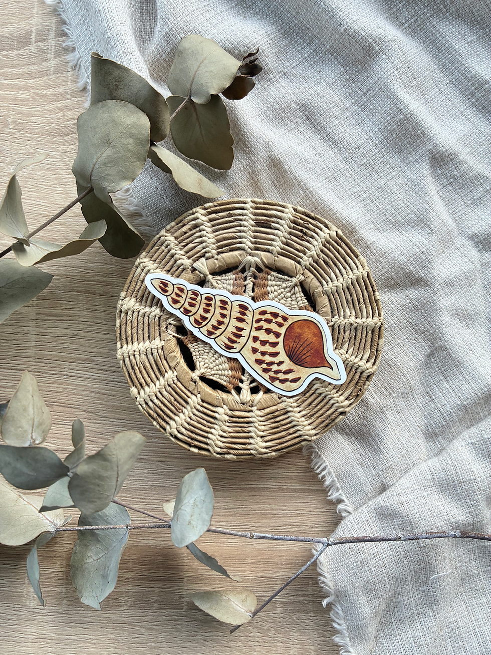 Thumbnail: Ladder Horn Snail Sea Shell Waterproof Sticker
