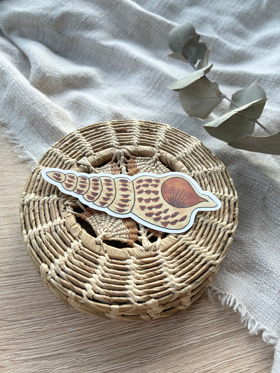 Thumbnail: Ladder Horn Snail Sea Shell Waterproof Sticker