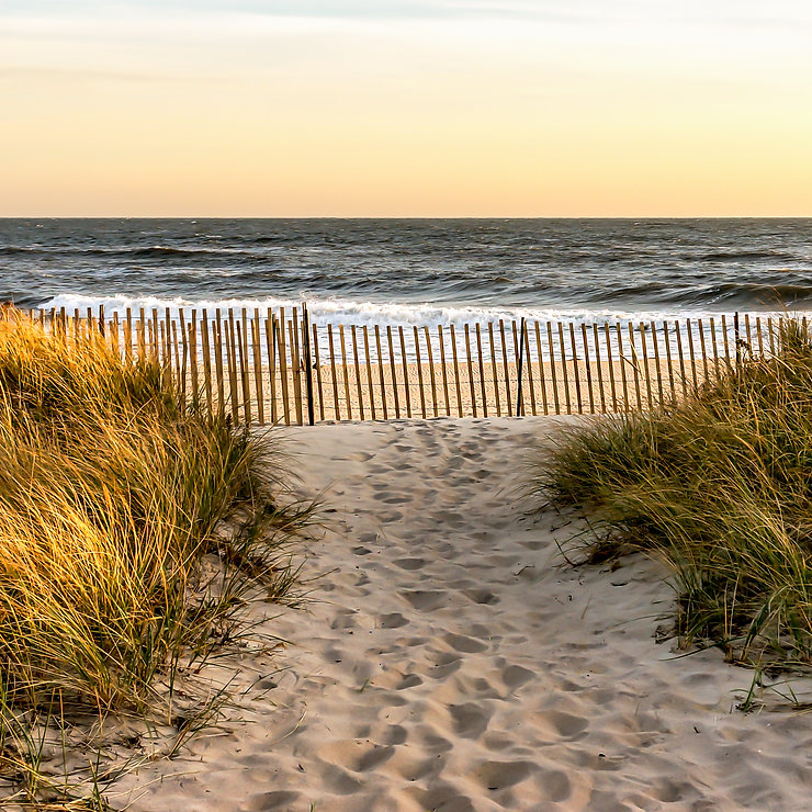beach-views-in-the-hamptons1b23b3.jpeg