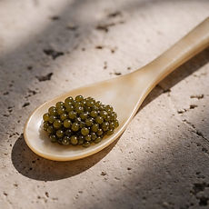 WhatsApp Image 2026-04-16 at 16.23.47 (3).jpeg