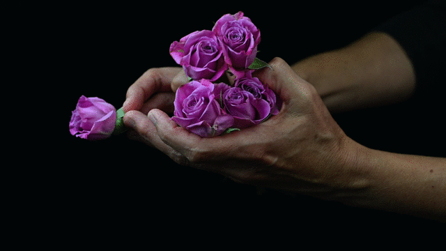 RoseGIF_2021.gif