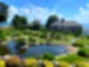 page background_edited.jpg