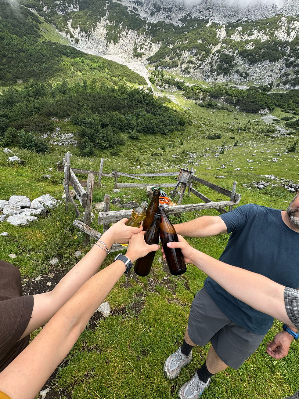 We love hiking in the alps!