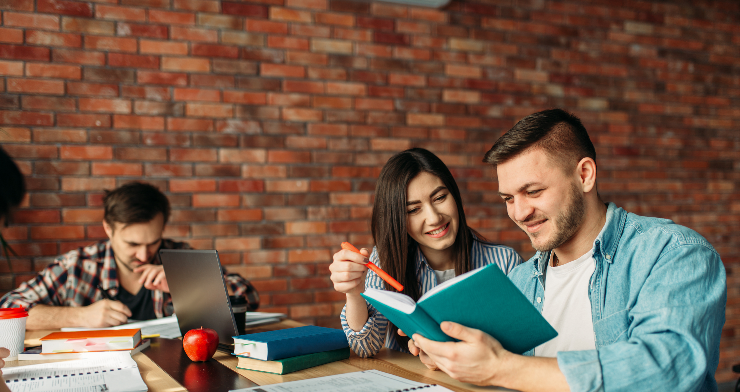 Study programmes. Study programmes