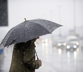 Rainy Day