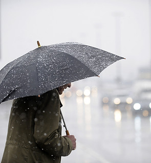 Rainy Day