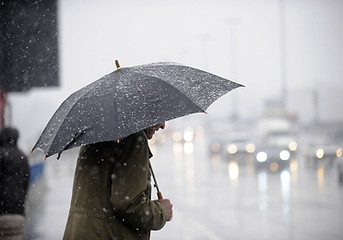 Rainy Day