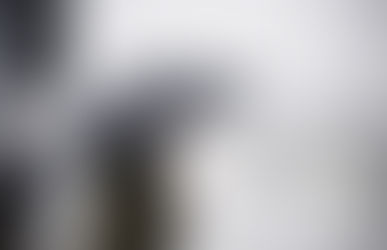 Wet weather Friday 6th February News