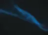blue-tornado.webp