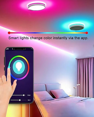 Smart Ceiling Light