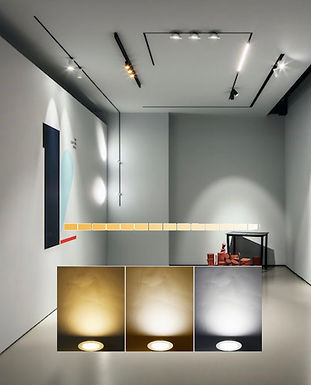 Magnetic Track Light