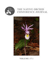 NOC Cover