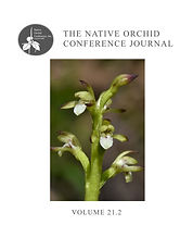NOC Cover