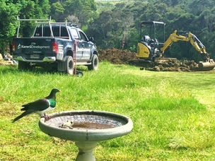 Why We're Called Kererū Development