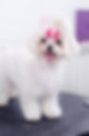image0.jpeg