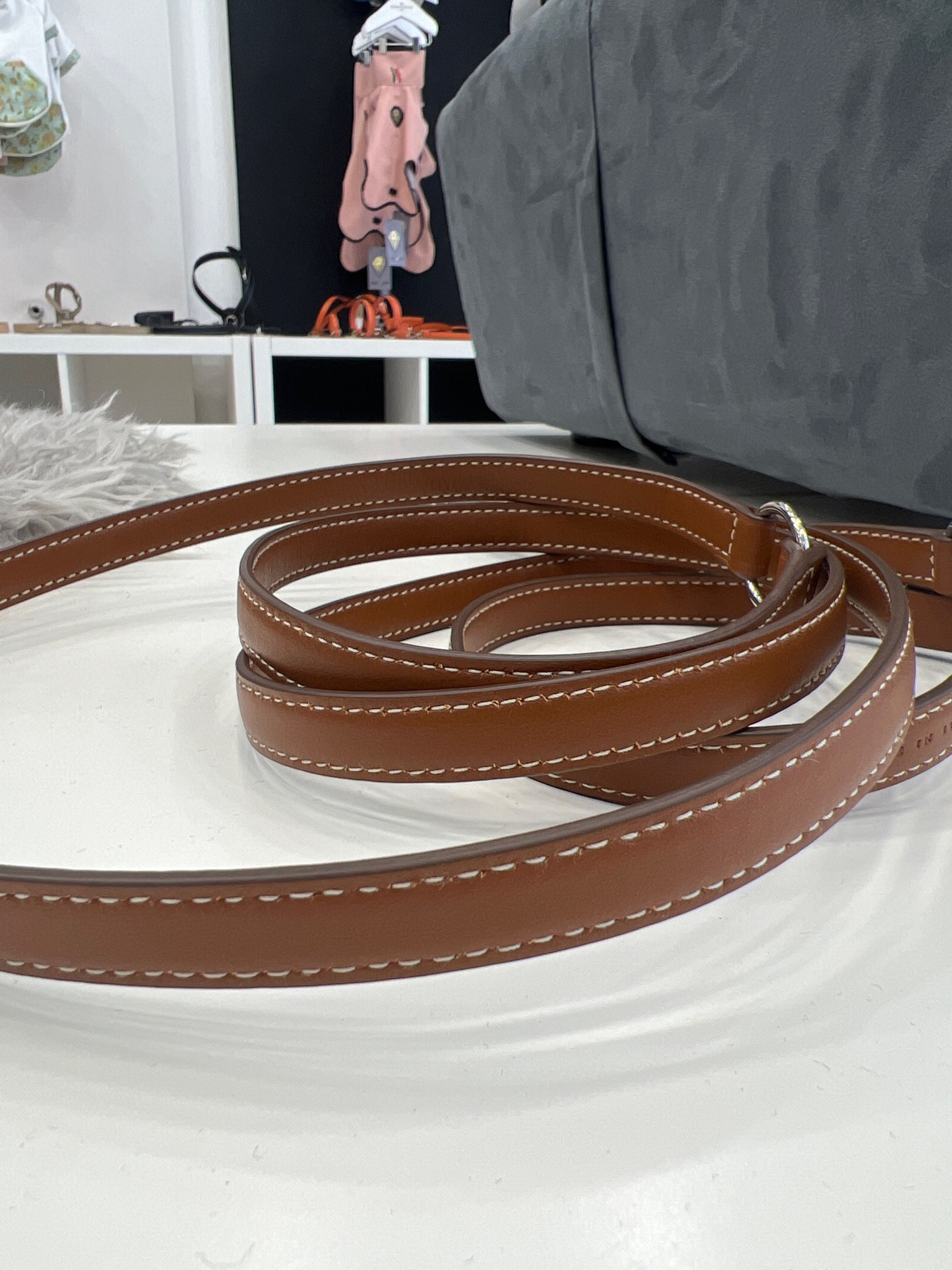 Guinzagliò tre posizioni 