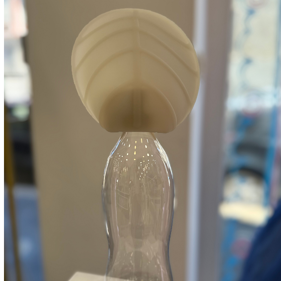 Miniatura: Borraccia per Cani in silicone