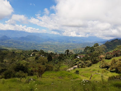 Lote en venta - Támesis
