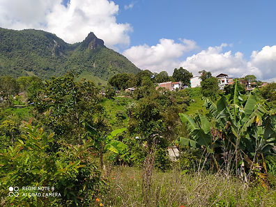 Lote en venta - Támesis