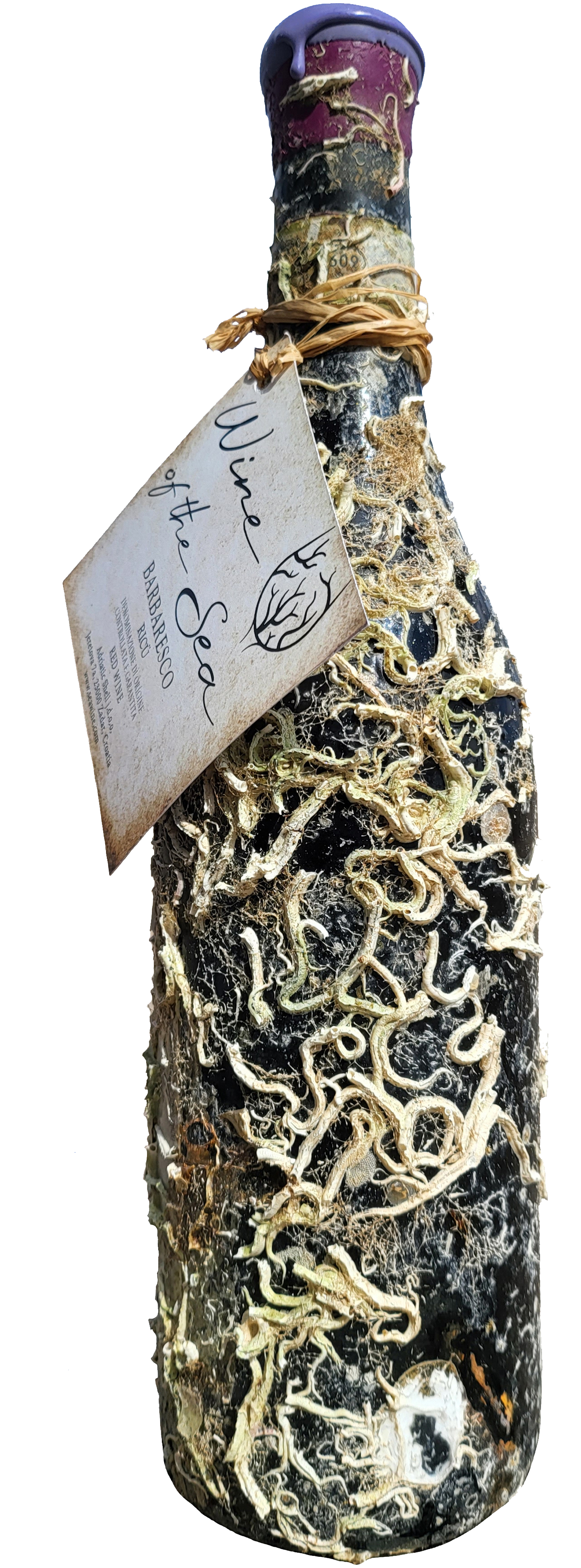 WINE OF THE SEA-BARBARESCO