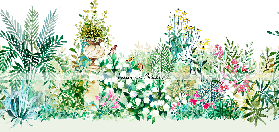 web_strip,pattern_plants,palms,florals(watermark).png