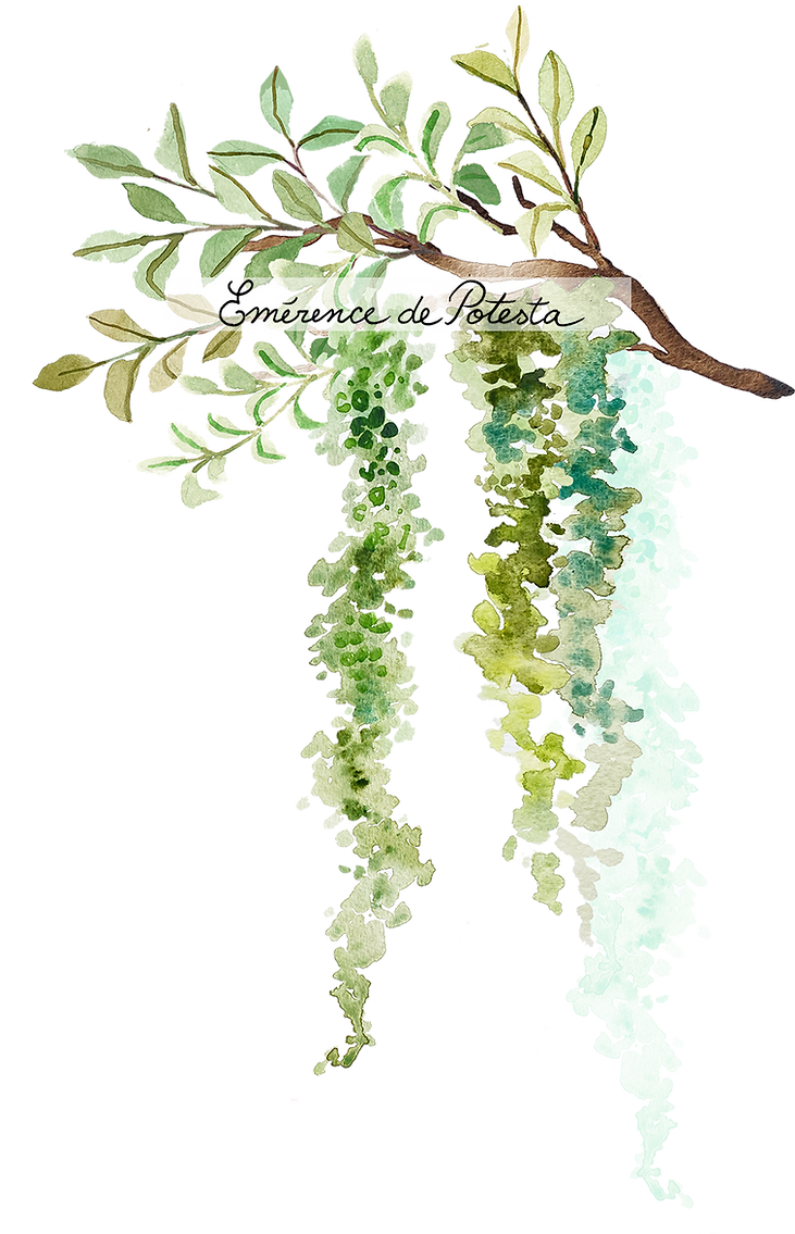 web_elements_branchspanishmossright(watermark).png