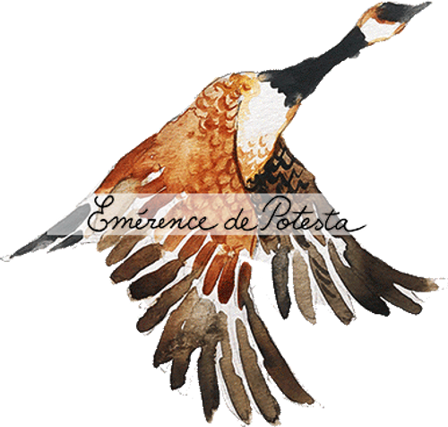 goose(1)(watermark).png