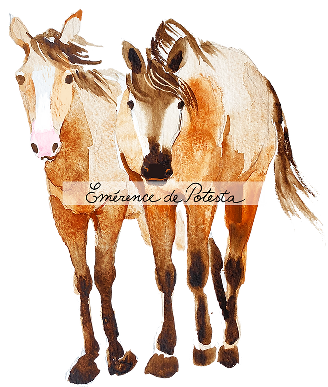 elements_web_horses(watermark).png
