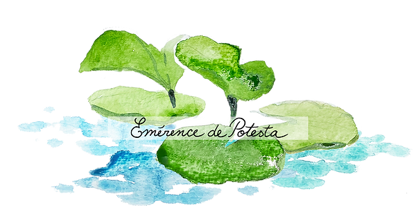 elements_web_lilypads(watermark).png