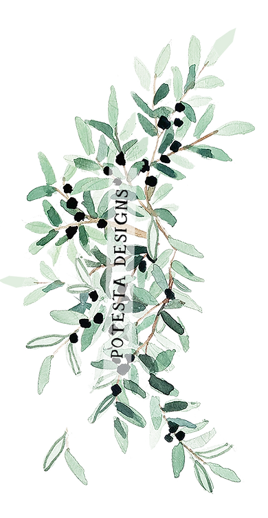 sicily_web_olives(L)_edited.png