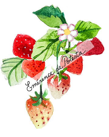 web_florals_strawberries(L)(watermark).png