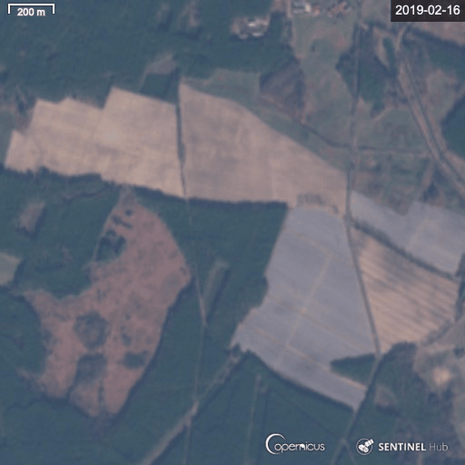 Sentinel-2_L1C-timelapse-3.gif