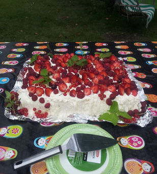 Usvan kymmenes kesäleiri