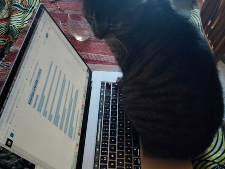 Kirjailijan arkiviikko 7/2024