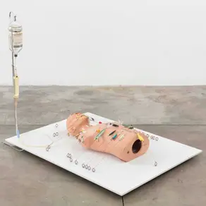 Panteha Abareshi / Sterility and desire